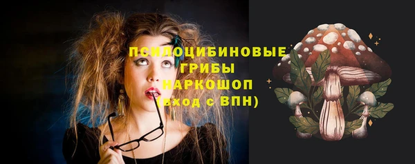 стаф Протвино