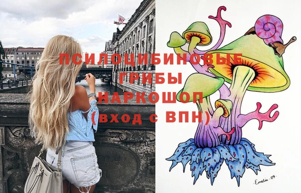 метадон Белокуриха
